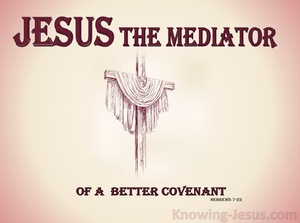 Hebrews 7:22
